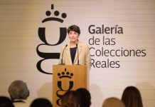 La XXX Cumbre Iberoamericana de Madrid acogerá la presentación de una Tarjeta Iberoamericana de Discapacidad